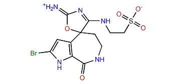 Callyspongisine A
